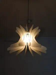 Customer review image